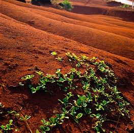 《Million Depth》确定于11月12日发售 单线路完整体验版将于9月发布
