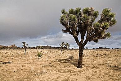 《Aeterna Noctis》发布首个大型更新档 加入简单模式